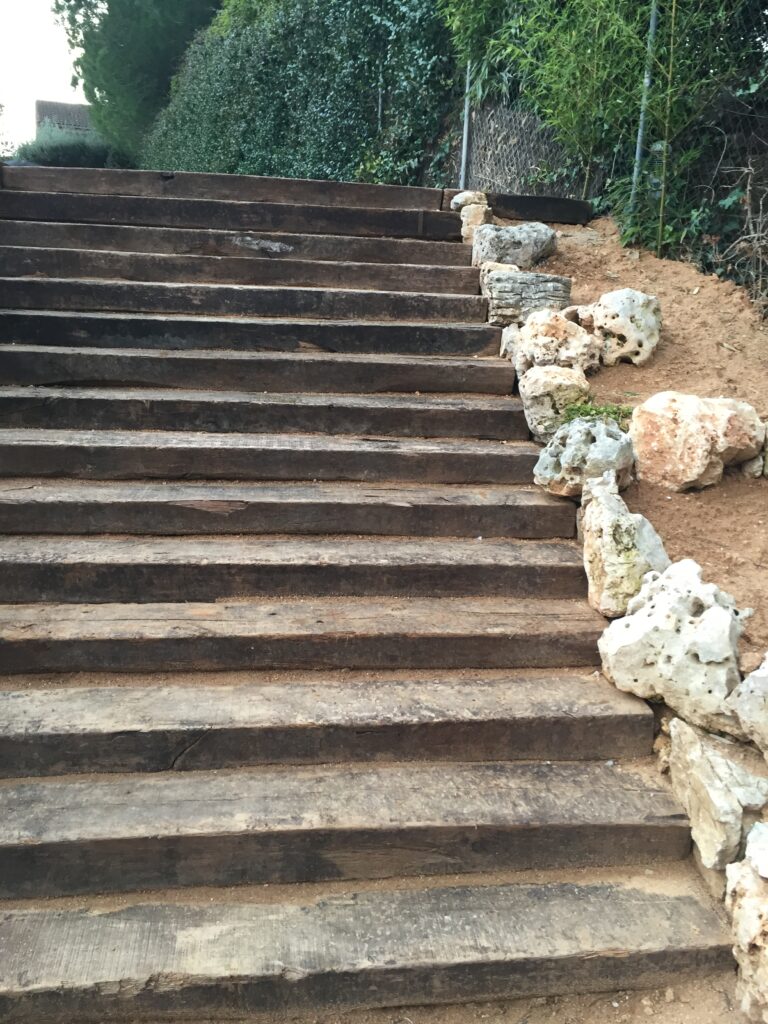 Taula d'arquitectura - Proyecto plano fachada